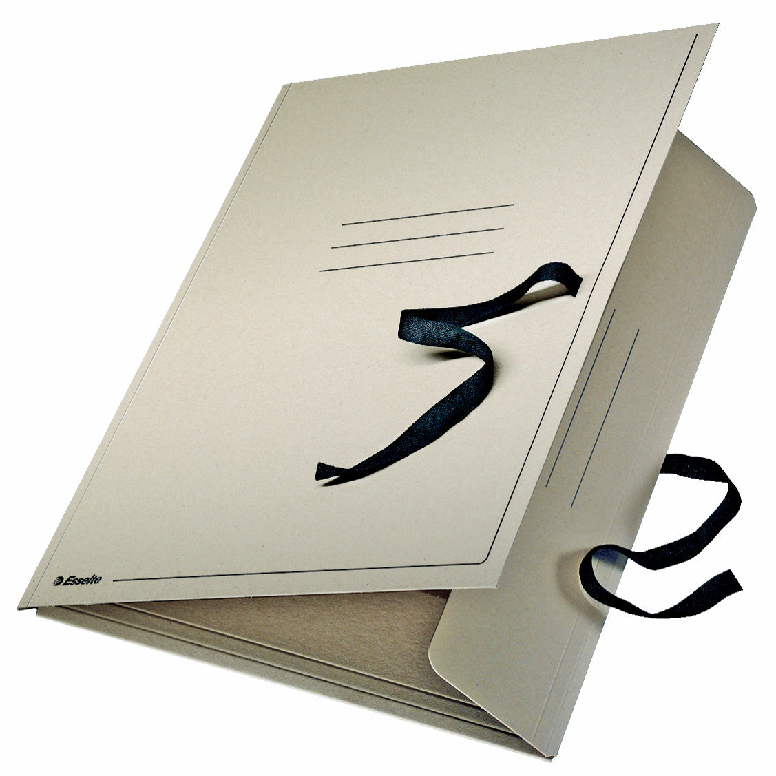 Zeichenmappe Esselte DIN A1 grau mit Band