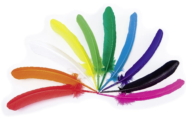 Bastel-Federn Folia "groß" 30-35cm 10 Stück sortiert